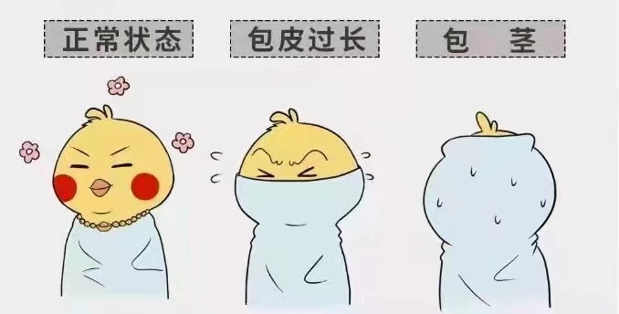 齐齐哈尔包皮包茎ky（中国）官方网站-ky登录入口
